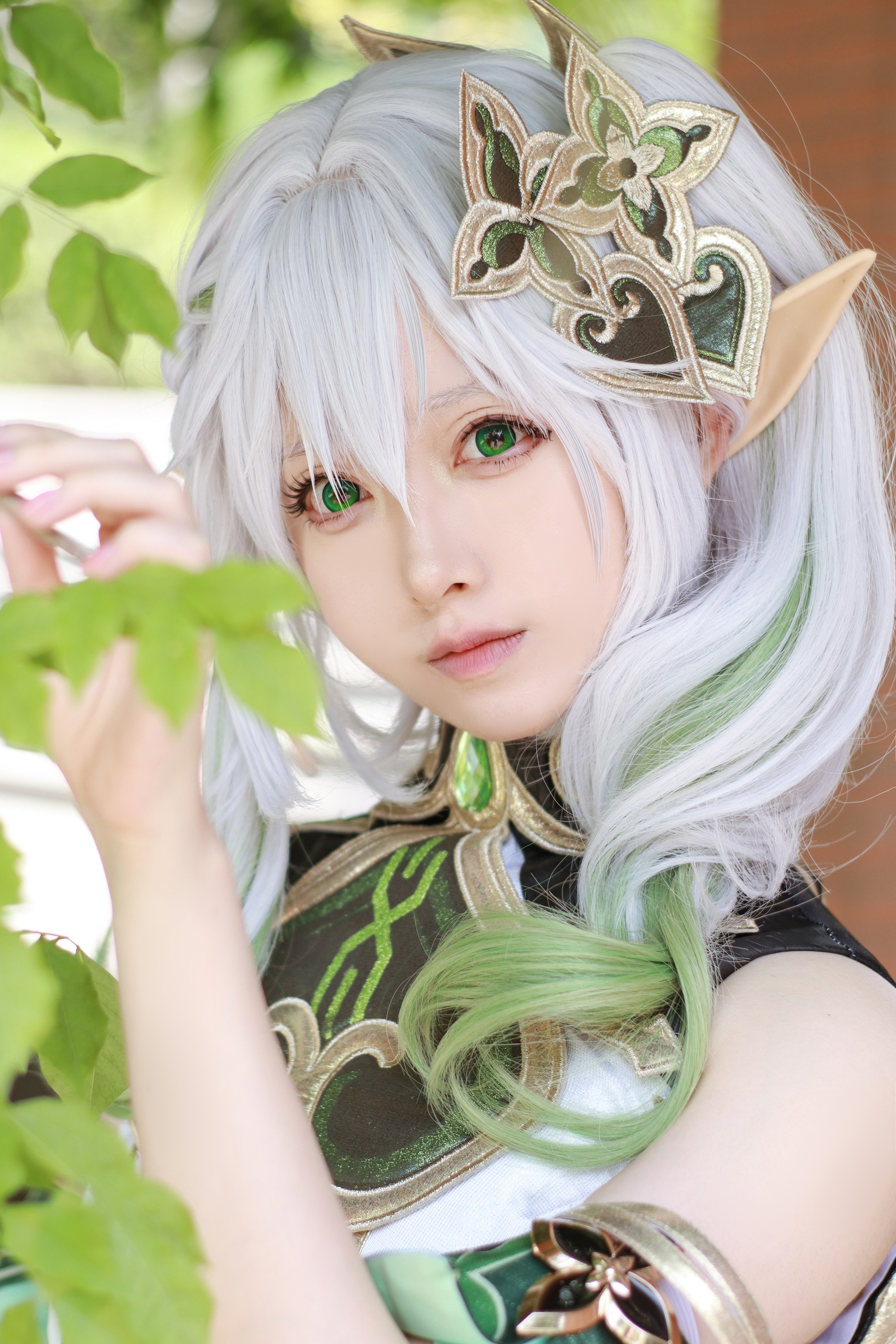 Asagiriai（愛ちゃん） - NO.004 纳西妲 [37P]-XikXak